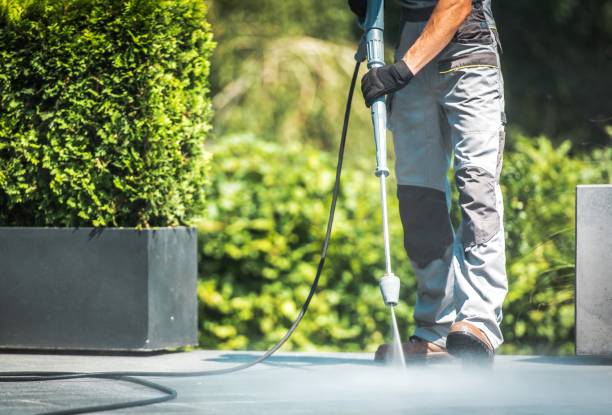 Best Building Exterior Washing  in Hallsville, MO